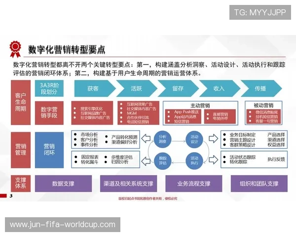 企业数字化转型成功实践与创新模式深度解析